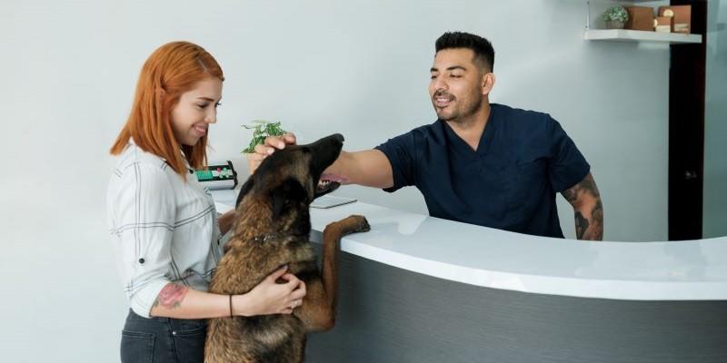 a veterinarian petting a client's dog