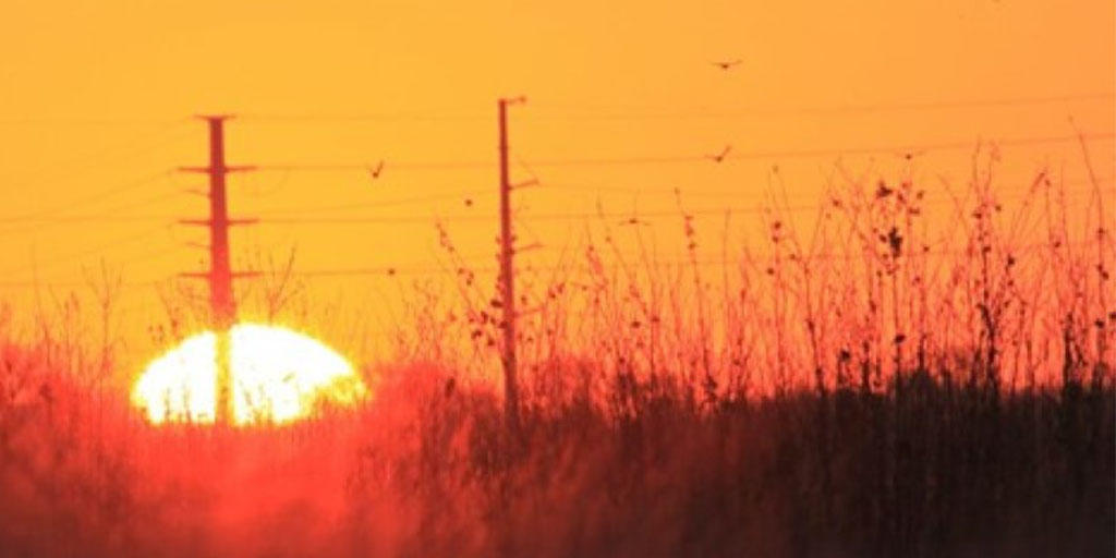A sunset over a field